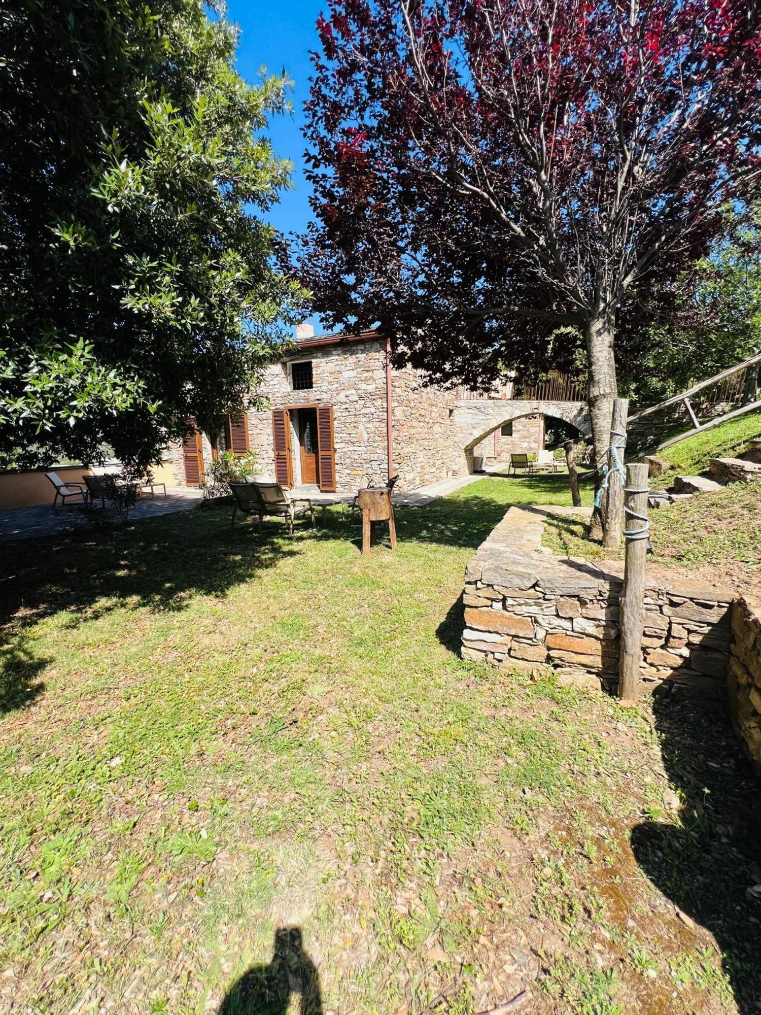 Ferme U San Martinu * Sisco